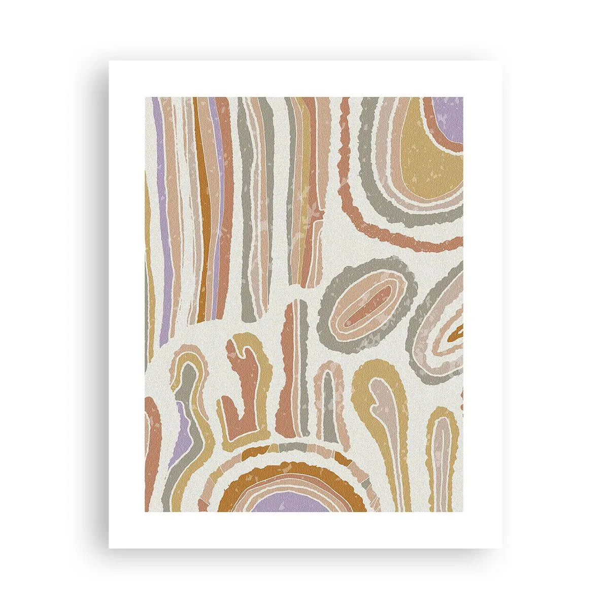 Plakat - Barwne przekroje - 40x50 cm