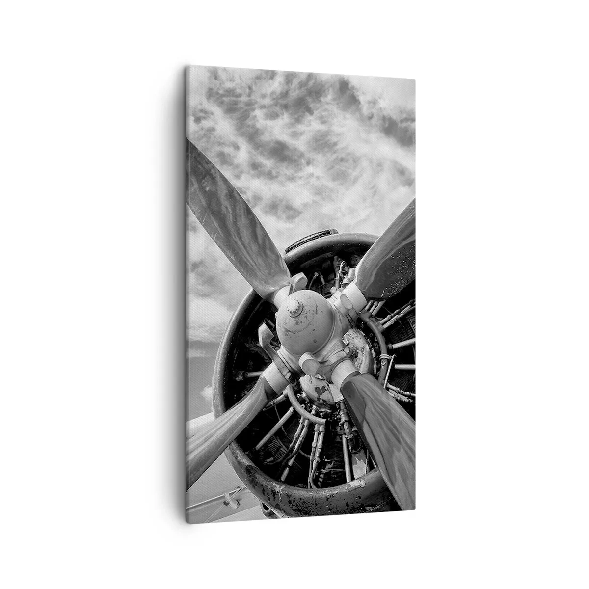 Obraz na płótnie - Pogromca przestworzy - 45x80 cm