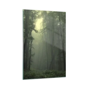 Obraz na szkle - Zielony las o poranku otulony delikatną mgłą - 80x120cm - Zanim się obudzi - Nowoczesna dekoracja ścienna do salonu i sypialni ARTTOR