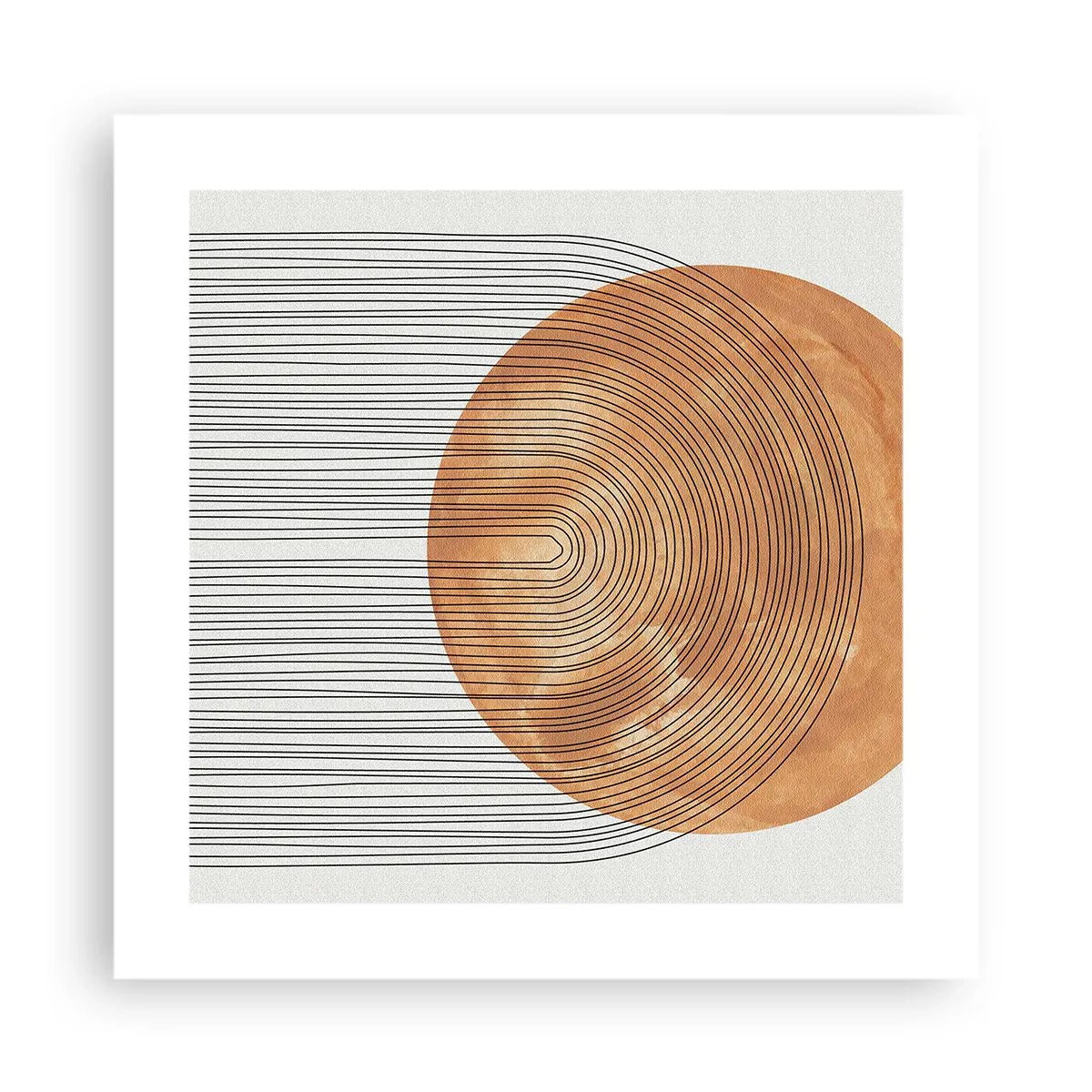 Plakat - Kompozycja słoneczna - 40x40 cm