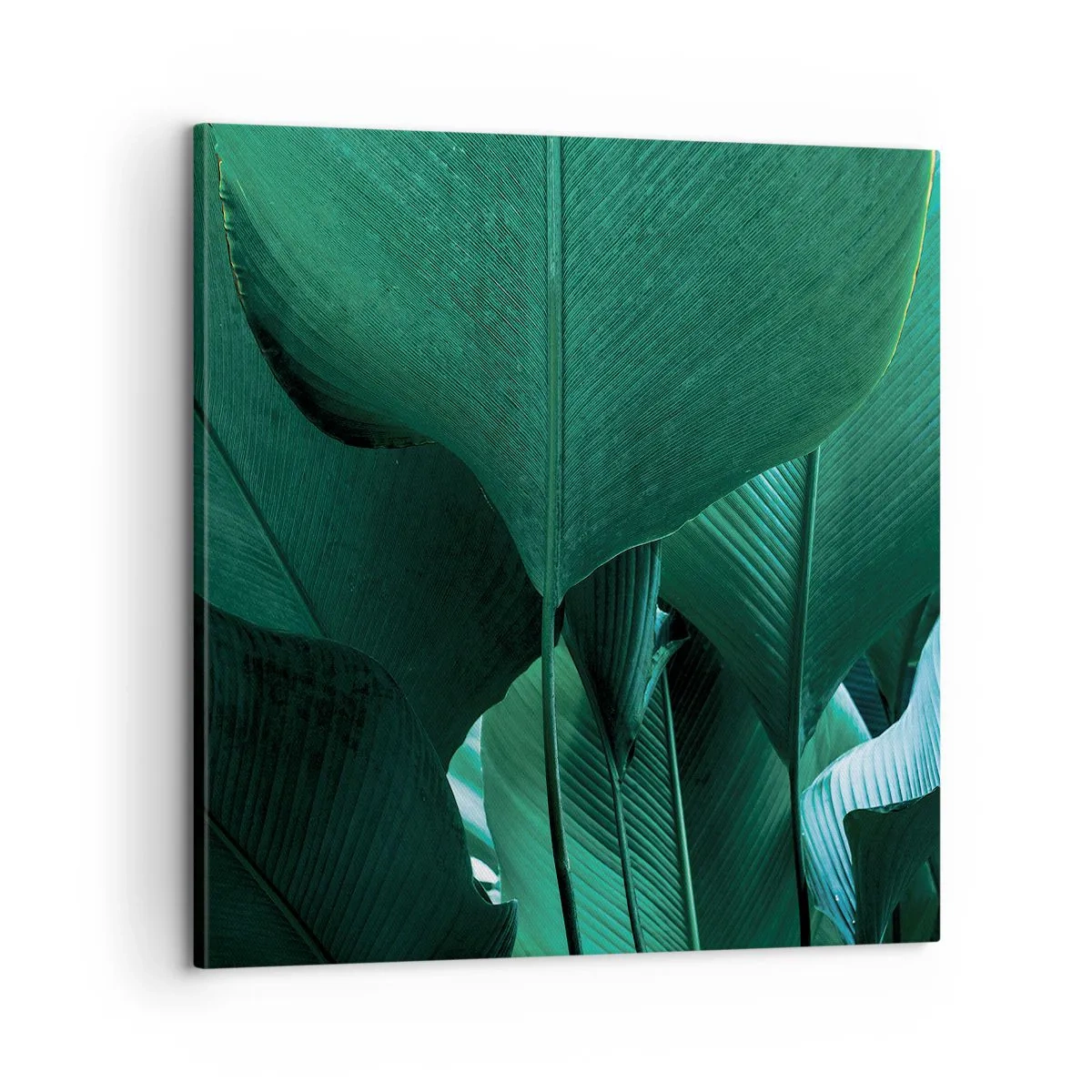 Obraz na płótnie - Zwrócone do światła - 60x60 cm