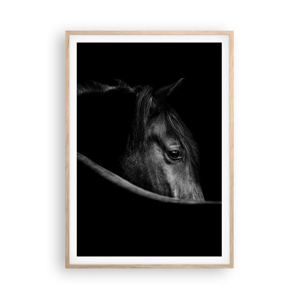 Plakat w ramie jasny dąb - Czarny książę - 70x100 cm