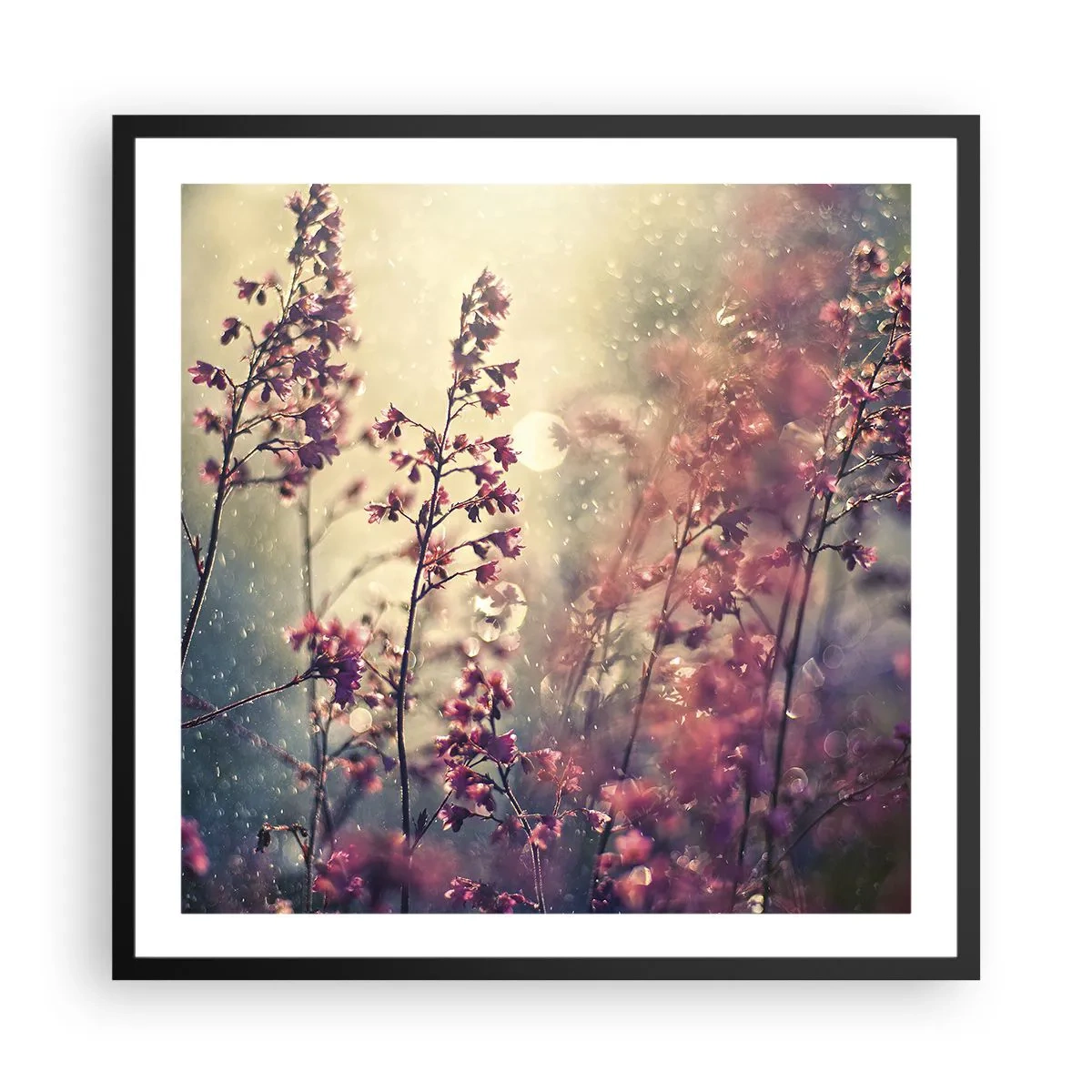 Plakat w czarnej ramie - Tajemniczy ogród - 60x60 cm