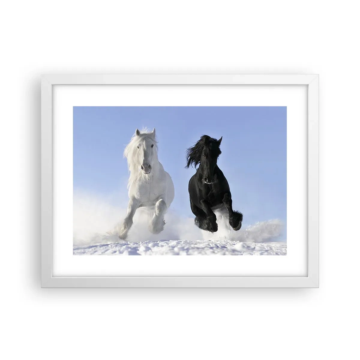 Plakat w białej ramie - Czarno-biały galop - 40x30 cm