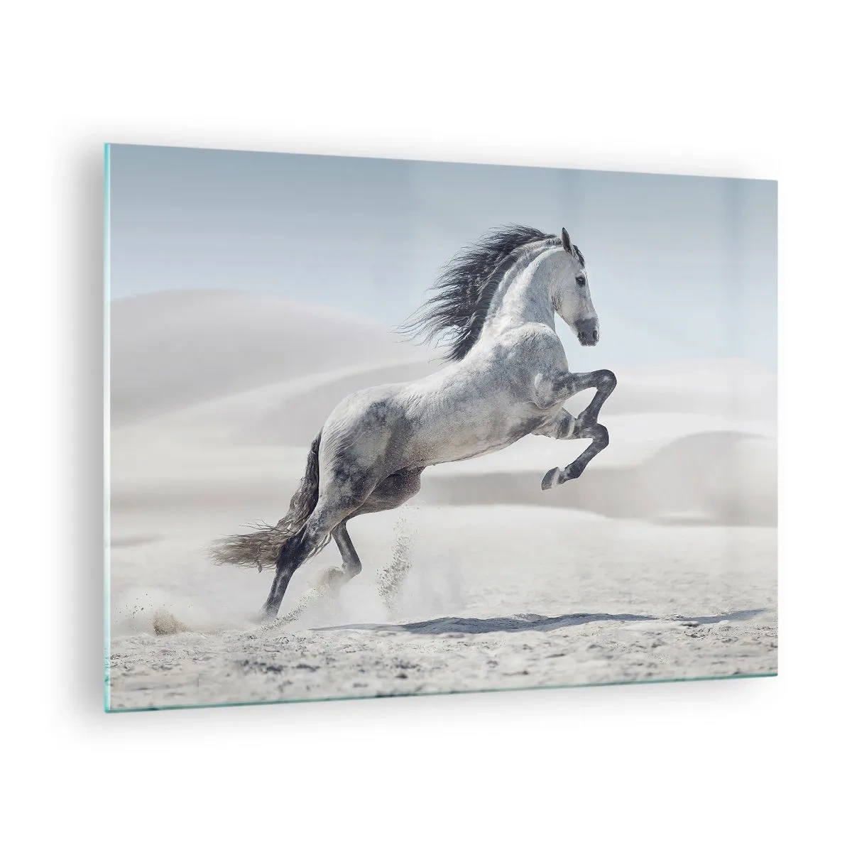 Obraz na szkle - Biały koń skaczący na tle pustynnych wydm - 70x50cm - Arabski książę - Nowoczesna dekoracja ścienna do salonu i sypialni ARTTOR