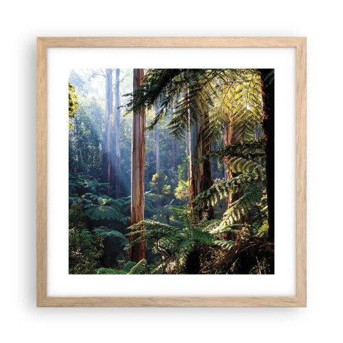 Plakat w ramie jasny dąb - Baśń lasu - 40x40 cm