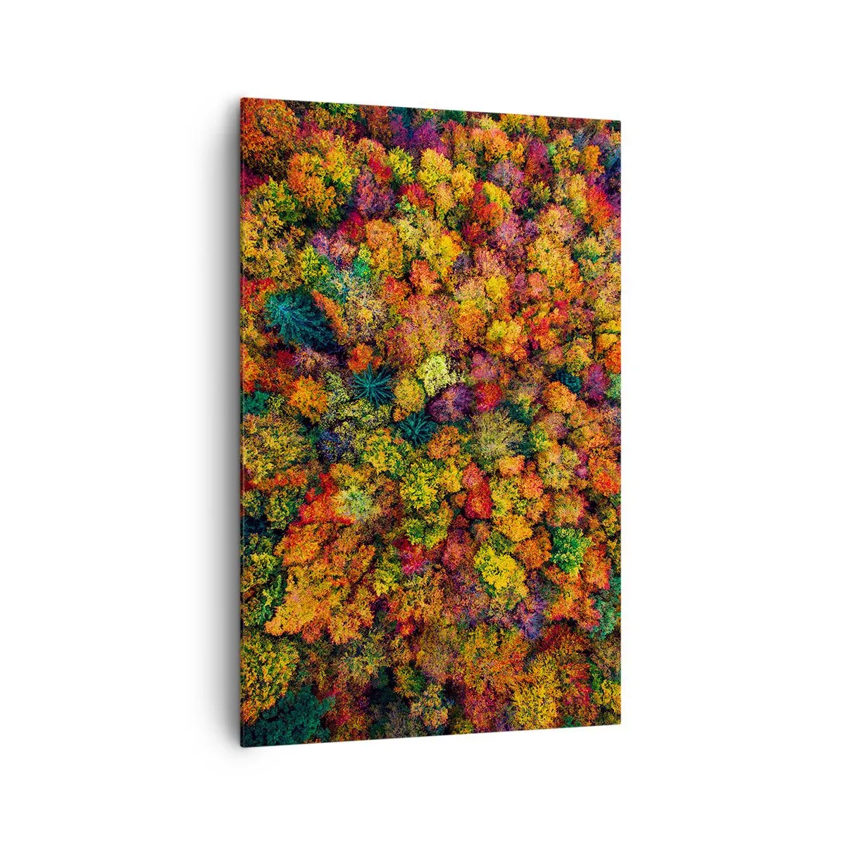 Obraz na płótnie - Kolorowe korony drzew w jesiennej palecie barw - 80x120cm - Bukiet jesiennych drzew - Nowoczesna dekoracja ścienna do salonu i sypialni ARTTOR