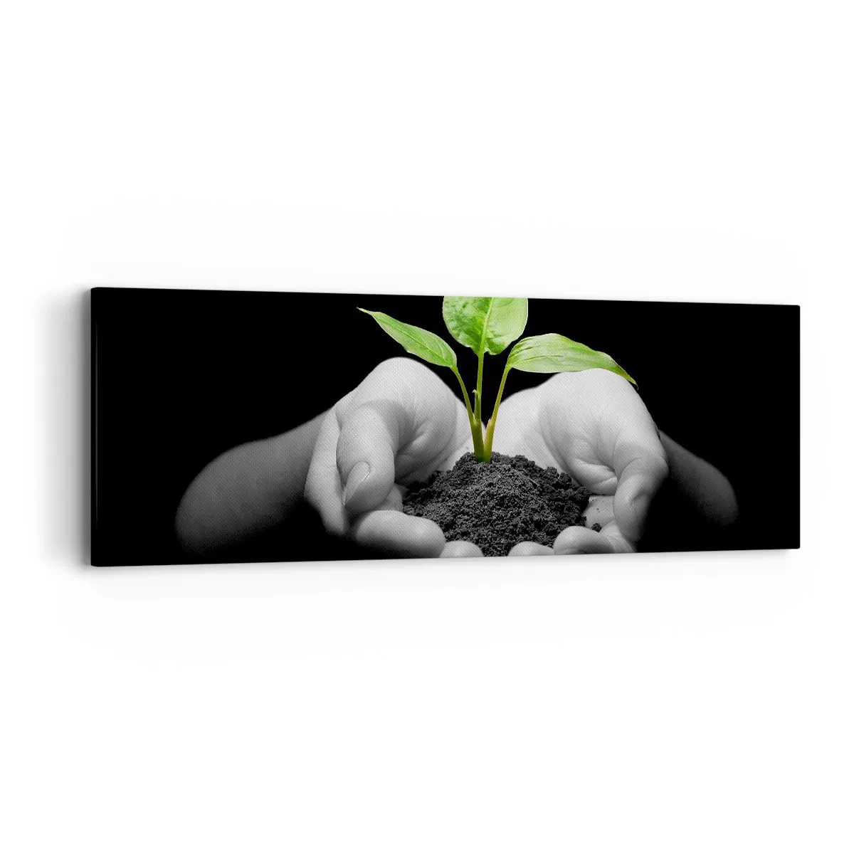 Obraz na płótnie - Kocham naturę, chronię ją - 90x30 cm