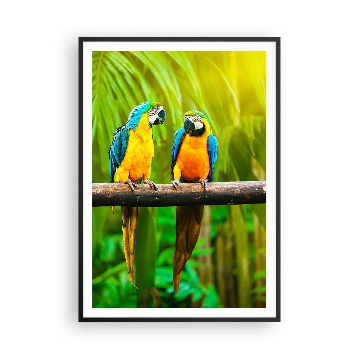 Plakat w czarnej ramie - A słyszałaś, że ona…? - 70x100 cm