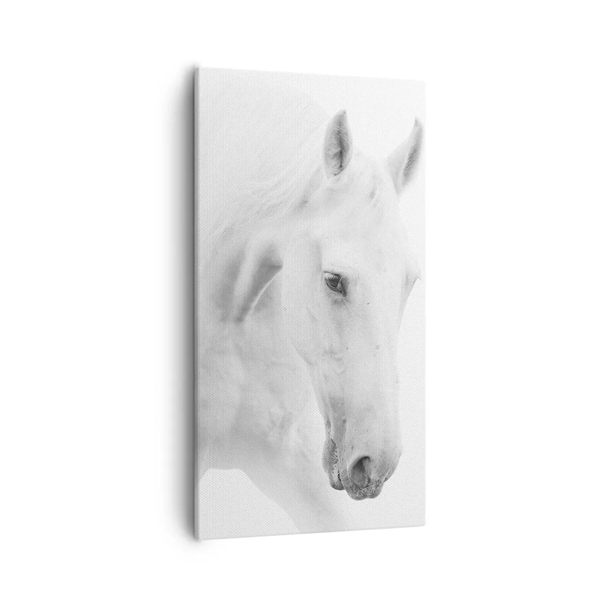 Obraz na płótnie - Czy to jest przyjaźń…? - 55x100 cm