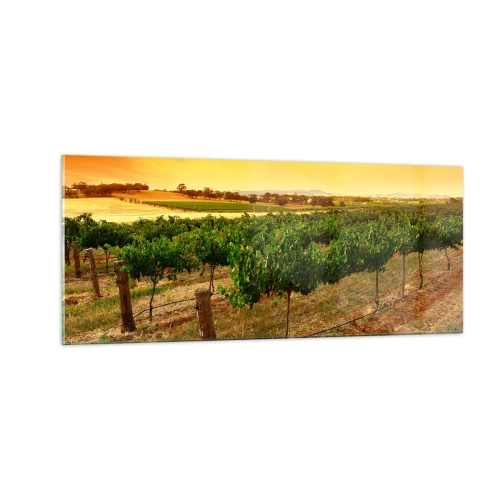 Obraz na szkle - Napić się słońca - 100x40 cm
