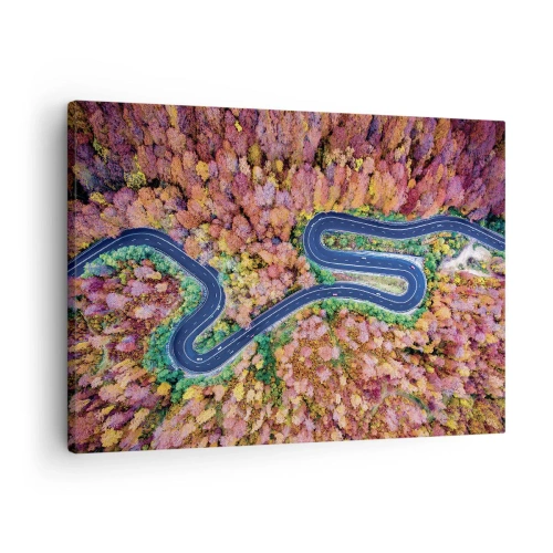 Obraz na płótnie - Kręta droga w jesiennym lesie widziana z lotu ptaka - 70x50cm - Krętą drogą poprzez las - Nowoczesna dekoracja ścienna do salonu i sypialni ARTTOR