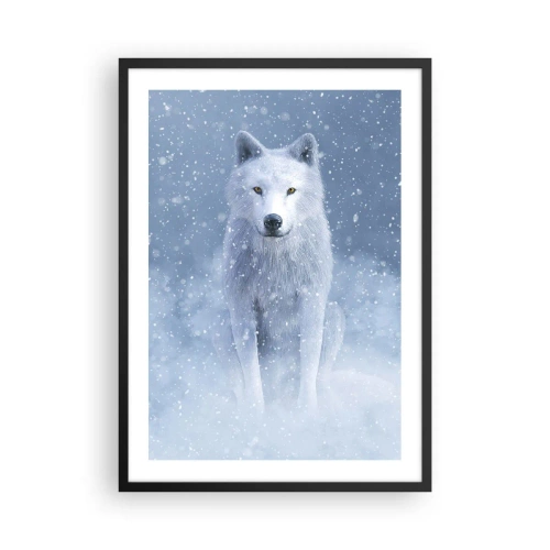 Plakat w czarnej ramie - Biały wilk w zimowym krajobrazie, otoczony śniegiem - 50x70cm - W zimowym duchu - Nowoczesna dekoracja ścienna do salonu i sypialni ARTTOR