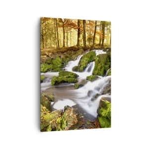 Obraz na płótnie - Zalesiony krajobraz z wodospadem otoczonym mchem - 70x100cm - Bystro przez jesienny las - Nowoczesna dekoracja ścienna do salonu i sypialni ARTTOR