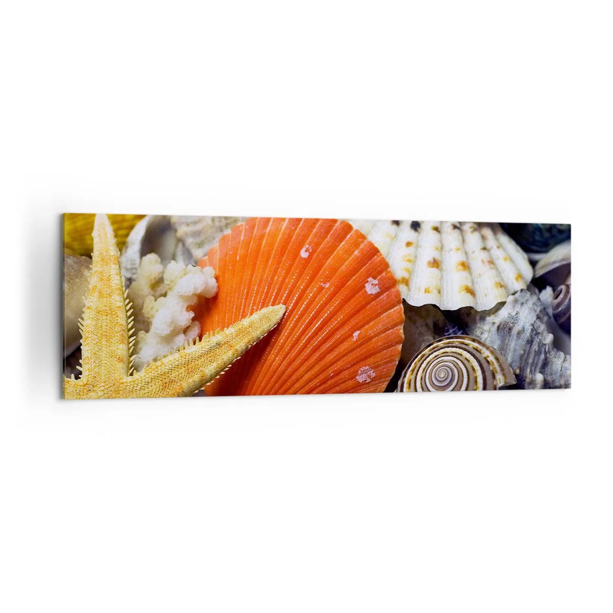 Obraz na płótnie - Muszle i rozgwiazda w kompozycji morskiej - 160x50cm - Skarby oceanu - Nowoczesna dekoracja ścienna do salonu i sypialni ARTTOR