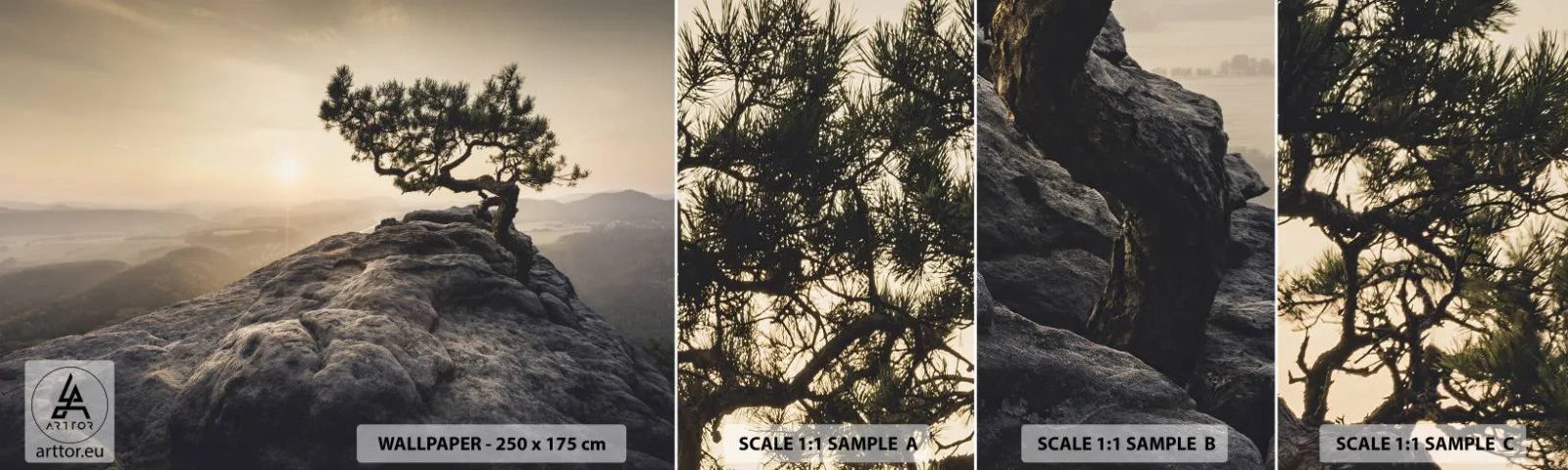 Fototapeta Próbka Samoprzylepna Deluxe Sticker - Życie zawsze zwycięża - Krajobraz Górski, Sosna, Góry - 100x30 cm