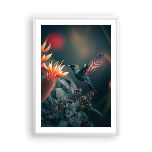 Plakat w białej ramie - naprawdę barwne życie - 50x70 cm