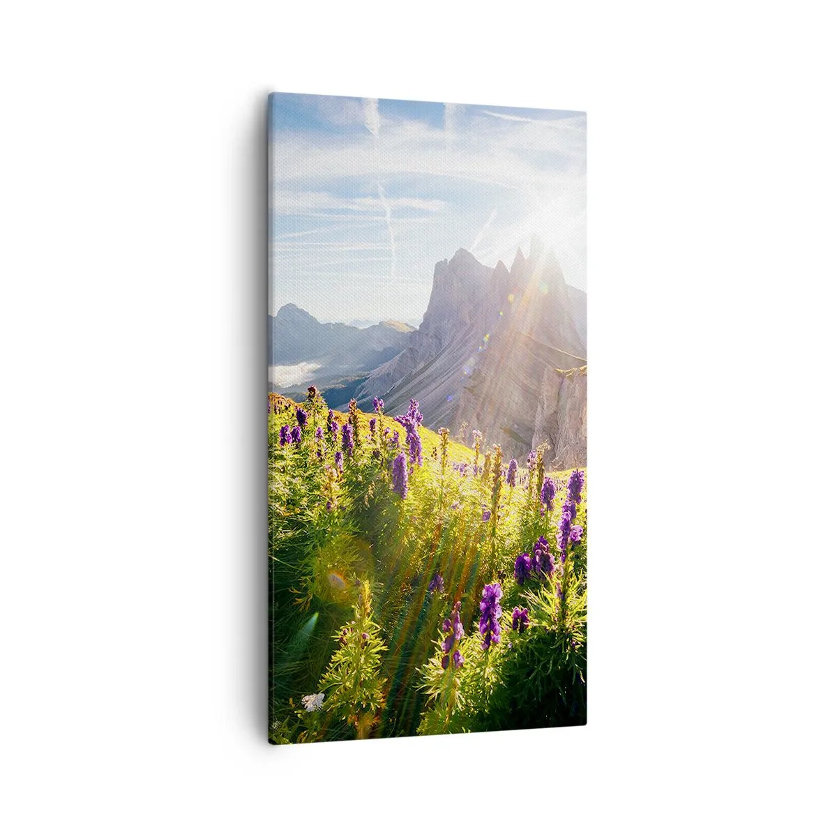 Obraz na płótnie - Sekretne życie ziół - 55x100 cm