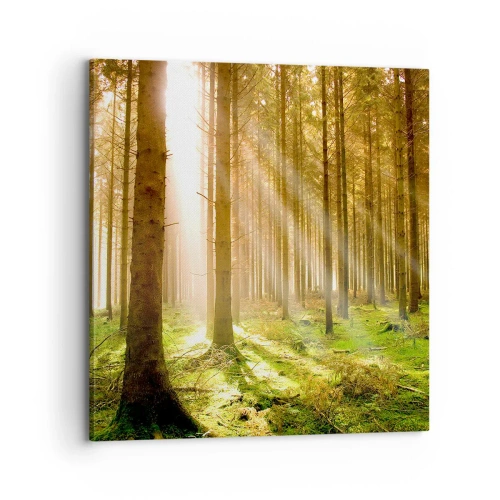 Obraz na płótnie - Zaraz pojawią się elfy - 70x70 cm
