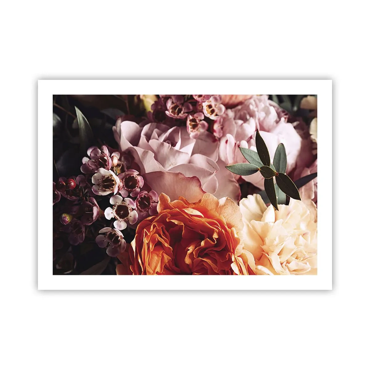 Plakat - Otulone pięknem - 70x50 cm
