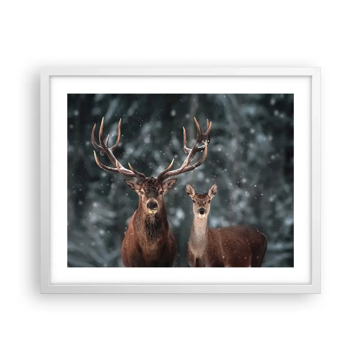 Plakat w białej ramie - Pan lasu z małżonką - 50x40 cm