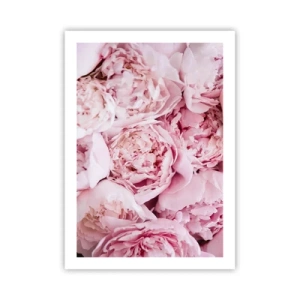 Plakat - Zbliżenie na delikatne różowe piwonie w pełnym rozkwicie - 50x70cm - Przytulone i pachnące - Nowoczesna dekoracja ścienna do salonu, kuchni i sypialni ARTTOR