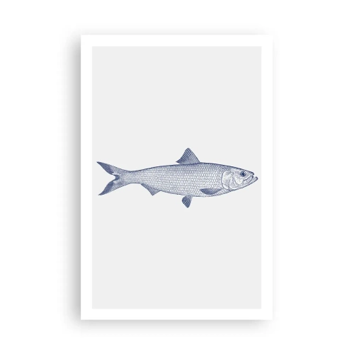 Plakat - Pozdrowienia z północnych mórz - 61x91 cm