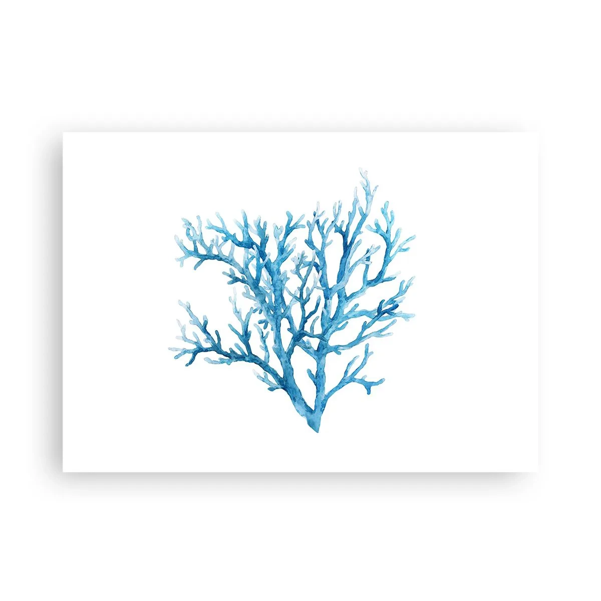 Plakat - Morski filigran - 70x50 cm