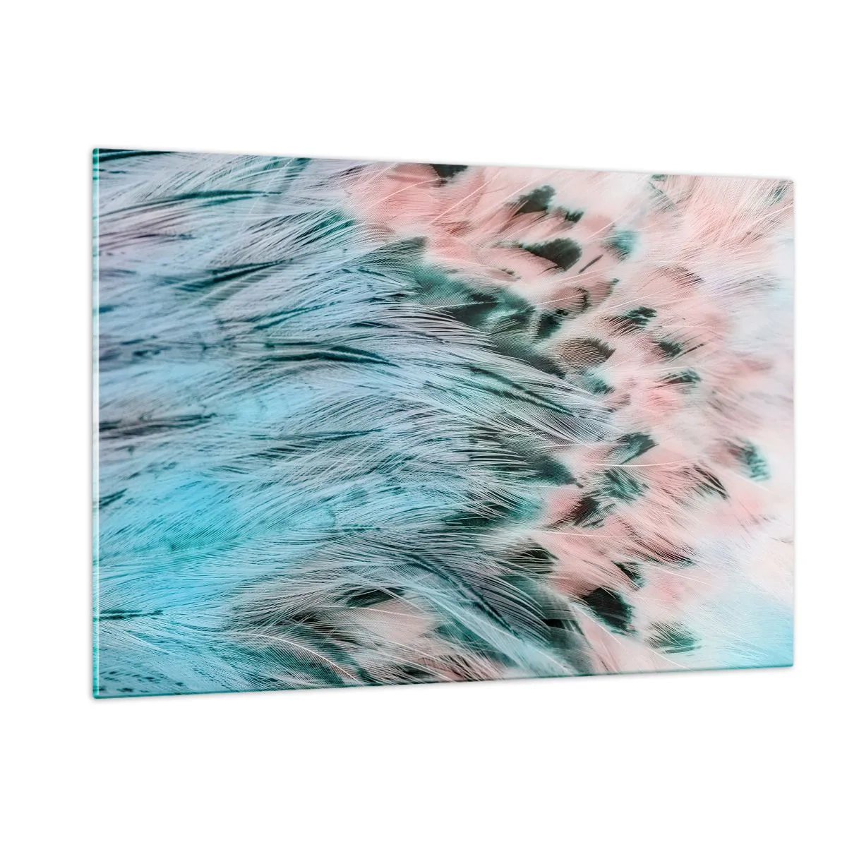 Obraz na szkle - Zbliżenie na pióra w szafirowo-różowych odcieniach - 120x80cm - Szafirowo-różowy puch - Nowoczesna dekoracja ścienna do salonu, kuchni i sypialni ARTTOR