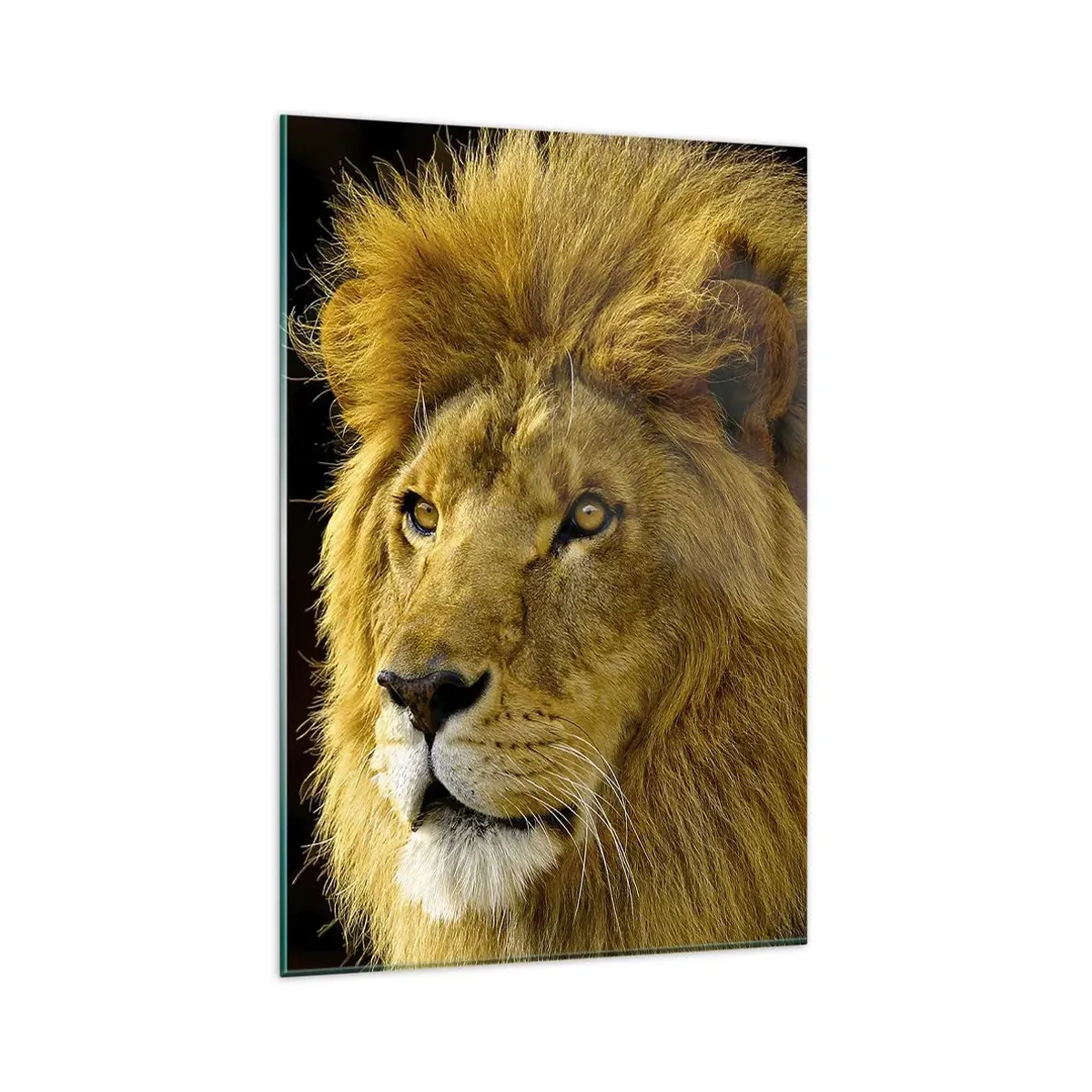 Obraz na szkle - Portret lwa z majestatyczną grzywą na ciemnym tle - 80x120cm - Portret króla - Nowoczesna dekoracja ścienna do salonu i sypialni ARTTOR