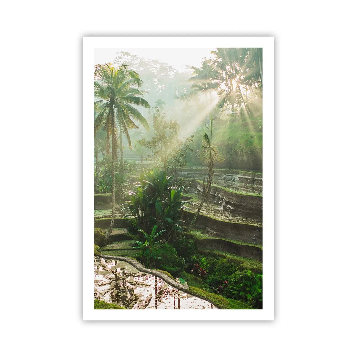 Plakat - Dorastać w słońcu - 61x91 cm