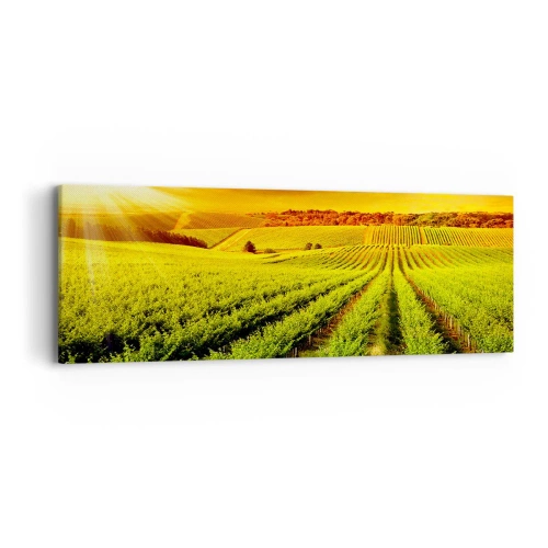 Obraz na płótnie - Pod australijskim słońcem - 90x30 cm