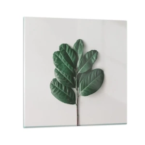 Obraz na szkle - Rysunek samej natury - 50x50 cm