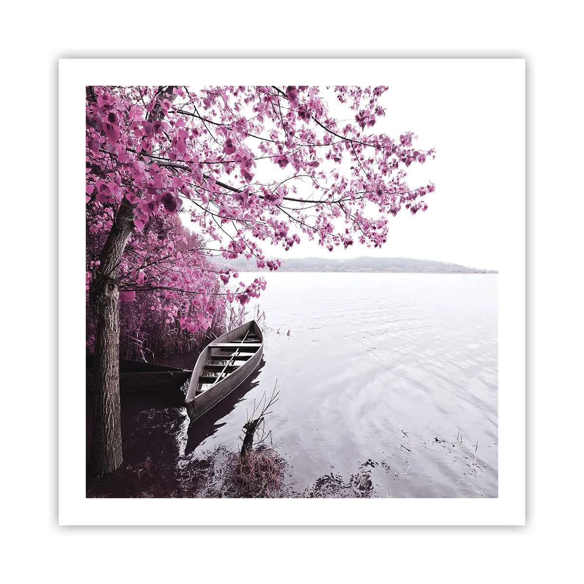 Plakat - W różowej ciszy - 60x60 cm