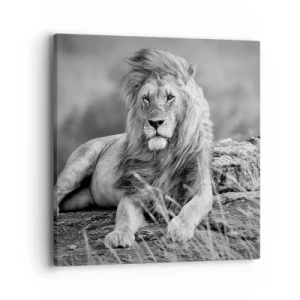 Obraz na płótnie - Królewska sjesta - 40x40 cm