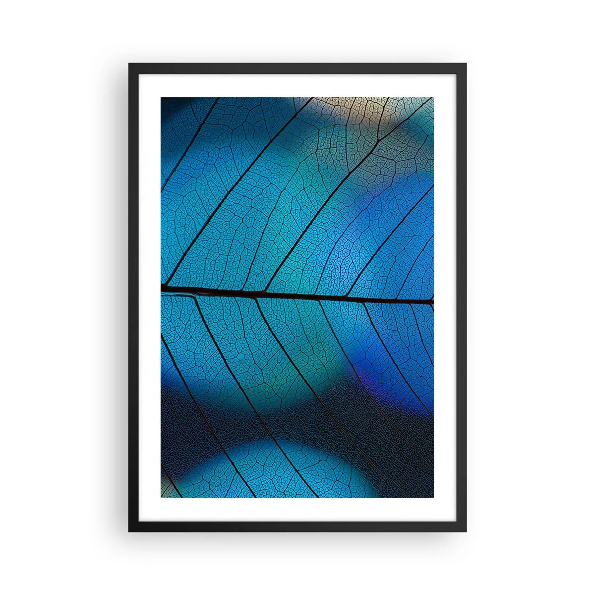 Plakat w czarnej ramie - Zbliżenie na niebieski liść z wyraźnymi żyłkami - 50x70cm - Misterna budowa - Nowoczesna dekoracja ścienna do salonu i sypialni ARTTOR