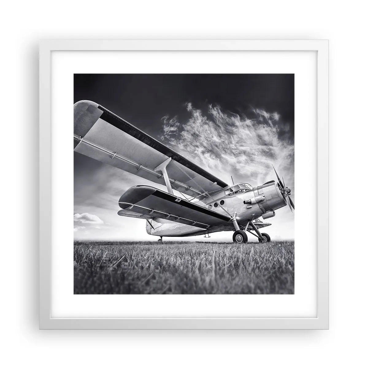 Plakat w białej ramie - Skrzydlaty wędrowiec - 40x40 cm