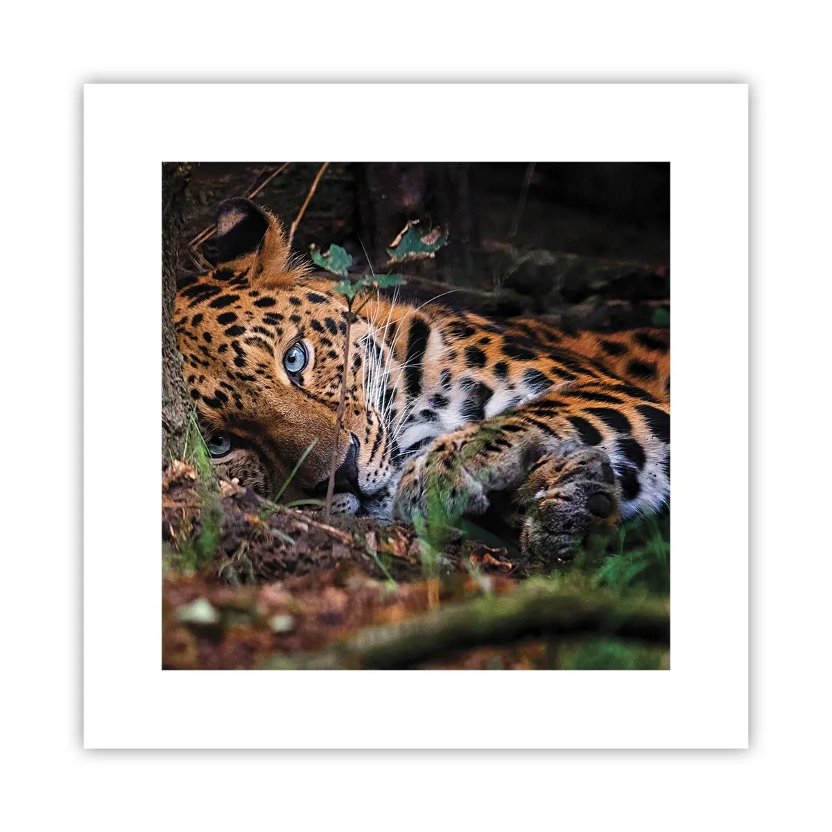 Plakat - Zaufaj mi - 30x30 cm