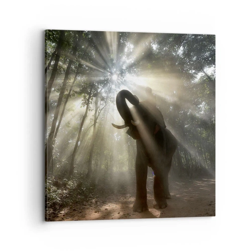 Obraz na płótnie - Pod szczęśliwą gwiazdą - 70x70 cm