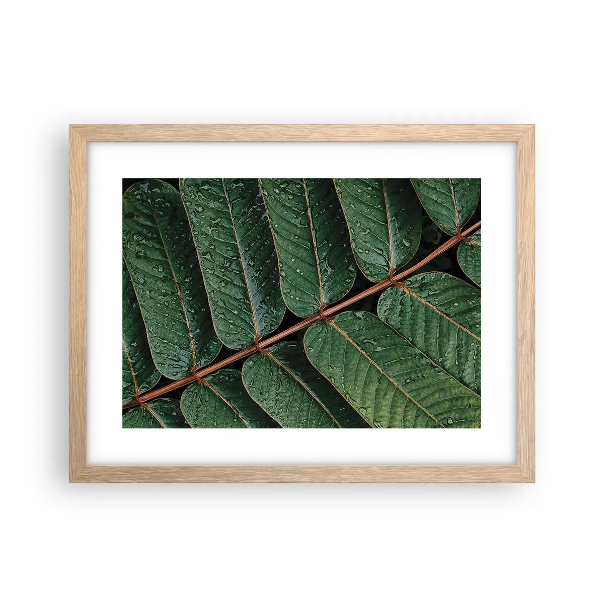 Plakat w ramie jasny dąb - W zielonym rytmie - 40x30 cm