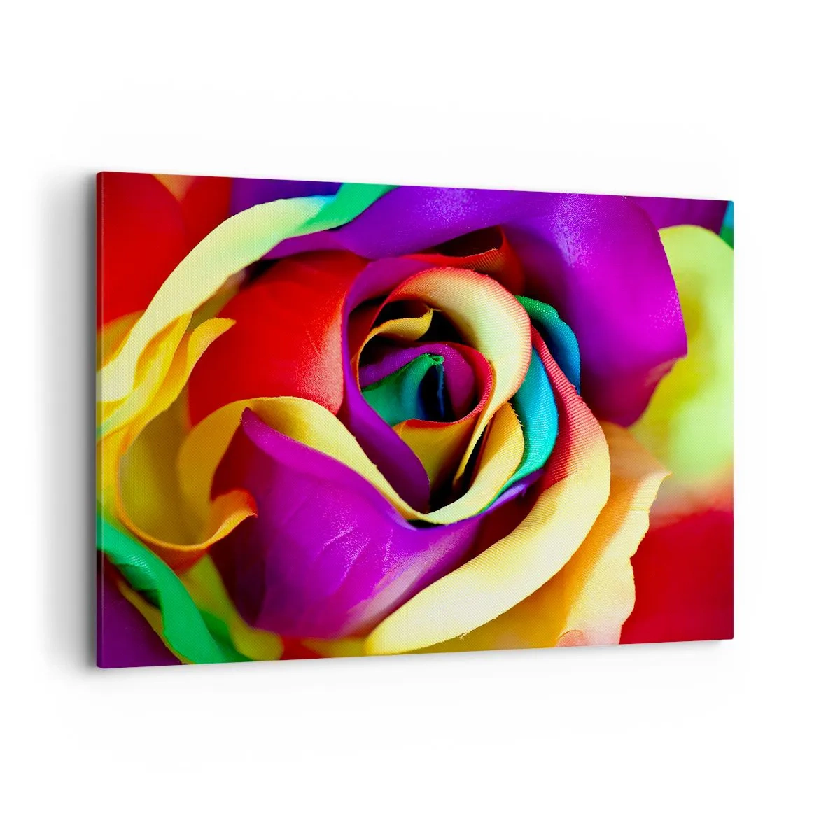 Obraz na płótnie - Barwna róża w tęczowych odcieniach - 100x70cm - To niemożliwe - Nowoczesna dekoracja ścienna do salonu, kuchni i sypialni ARTTOR
