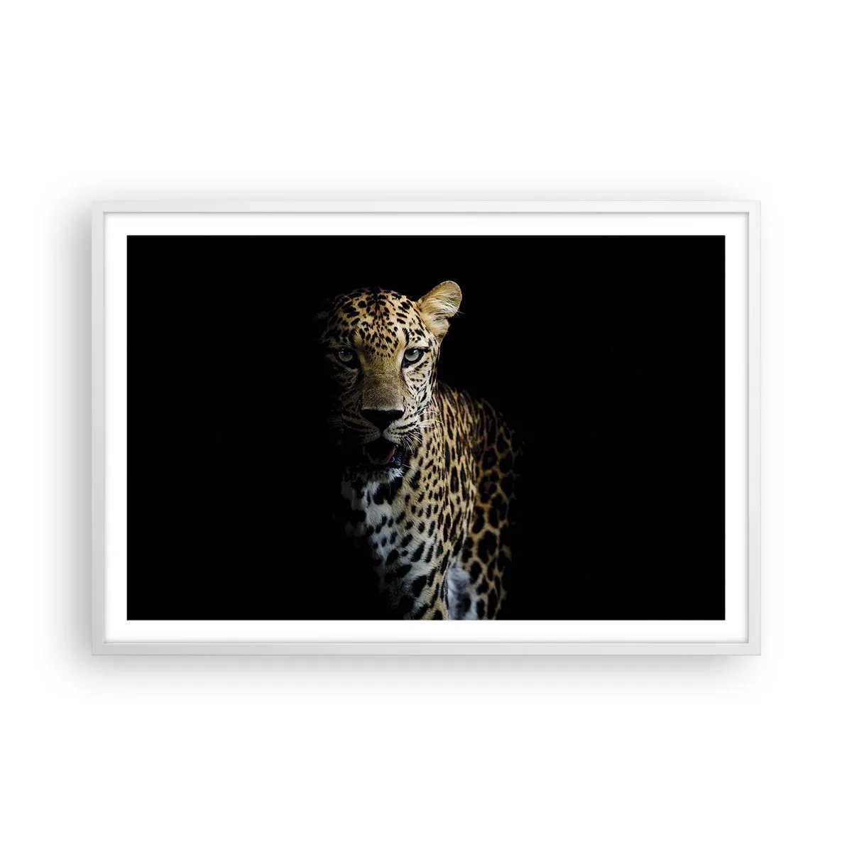 Plakat w białej ramie - Mroczne piękno - 91x61 cm