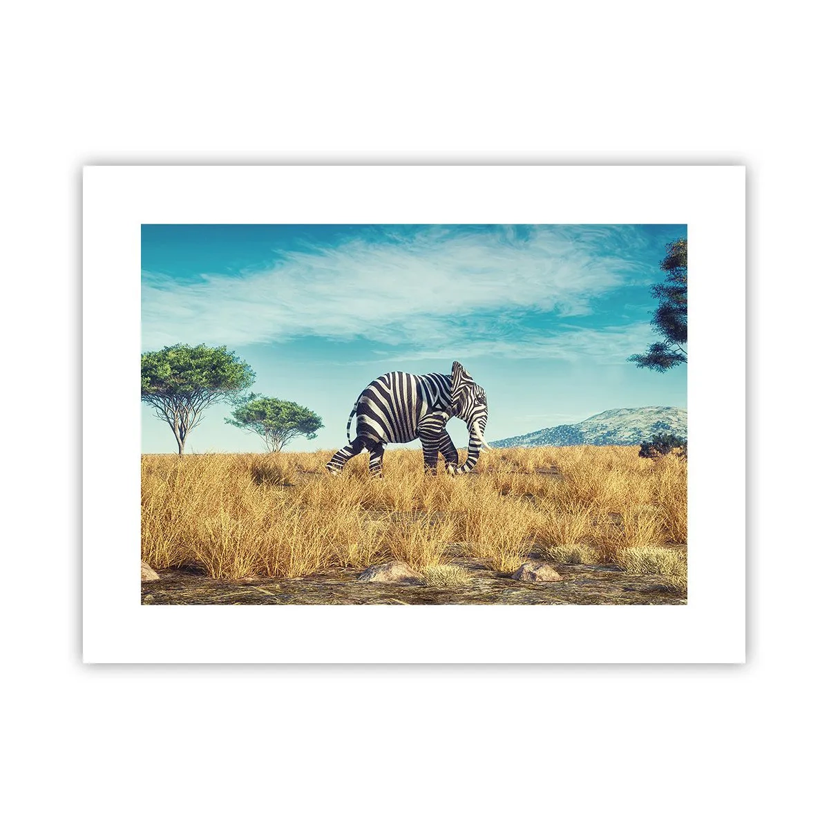 Plakat - Szarość już niemodna - 40x30 cm