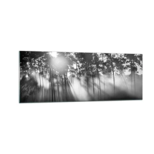 Obraz na szkle - Czarno-biały las w porannej mgle - 140x50cm - Niepowstrzymane słońce - Nowoczesna dekoracja ścienna do salonu i sypialni ARTTOR