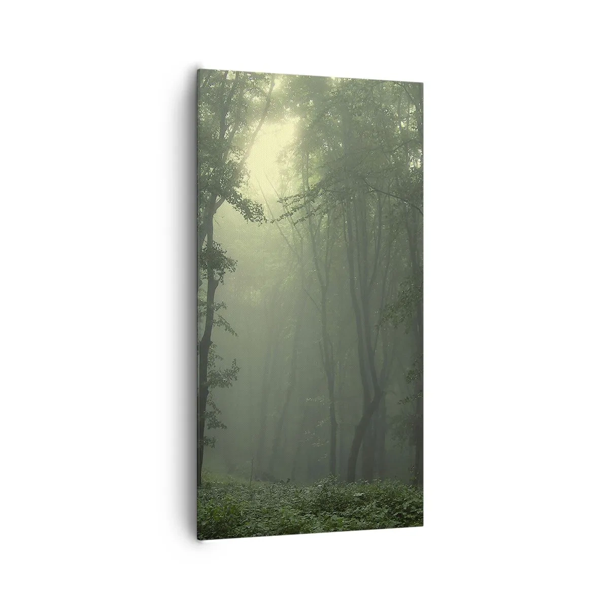 Obraz na płótnie - Zanim się obudzi - 65x120 cm