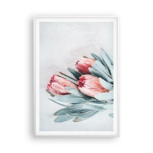 Plakat w białej ramie - Zawstydzone własną urodą - 70x100 cm