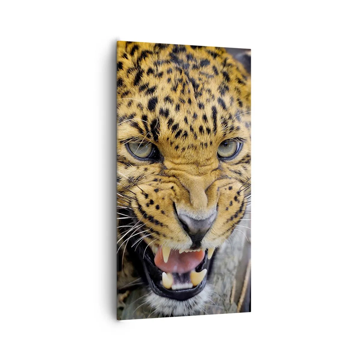 Obraz na płótnie - Nie podchodź, ostrzegam! - 65x120 cm