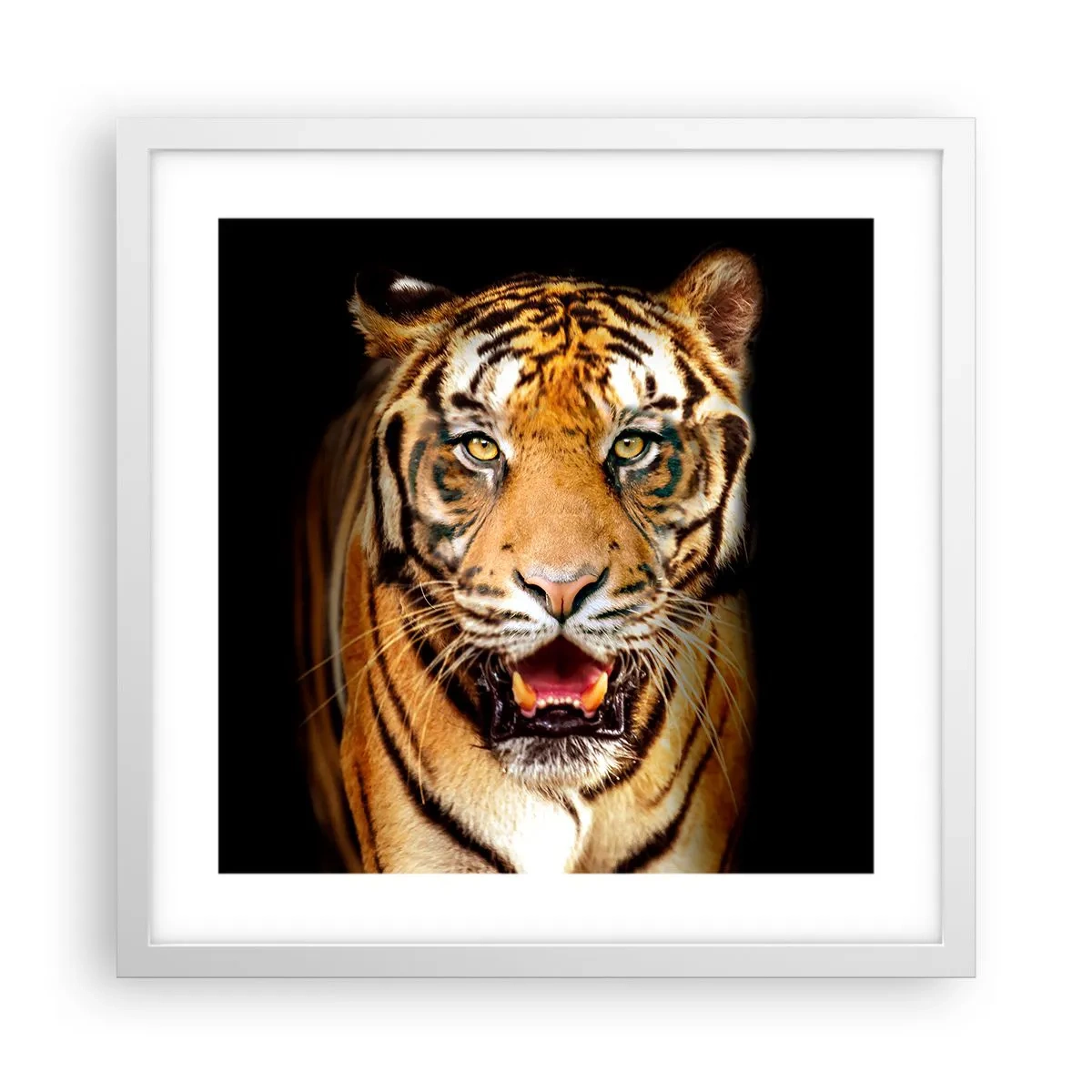 Plakat w białej ramie - Dzikość serca - 40x40 cm