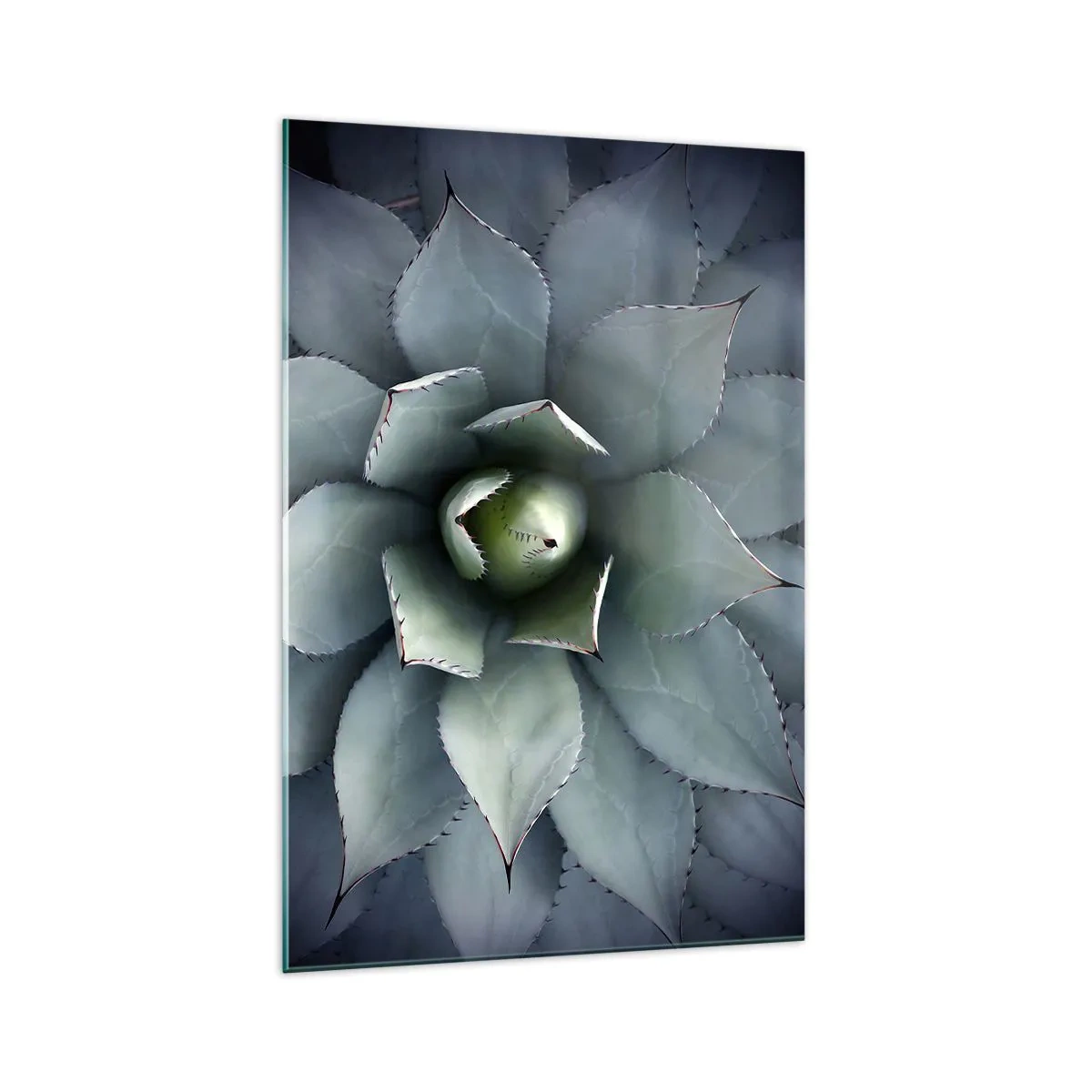 Obraz na szkle - Zbliżenie na rozetę agawy w delikatnych odcieniach zieleni - 70x100cm - Wabi i przestrzega - Nowoczesna dekoracja ścienna do salonu i sypialni ARTTOR