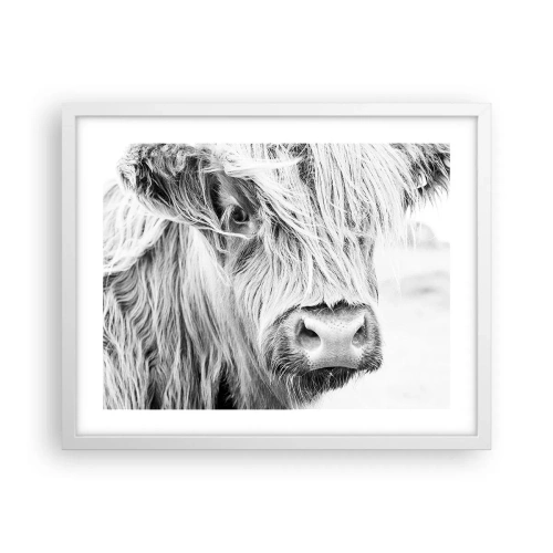 Plakat w białej ramie - Szkocka dzikość - 50x40 cm